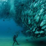 三亚往返康怡乐享蜈支洲双飞5天4晚 夏恋北国·北海道富良野旭川小樽札幌洞