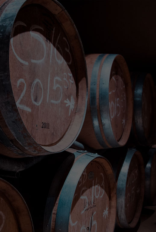 加盟店 / 经销商