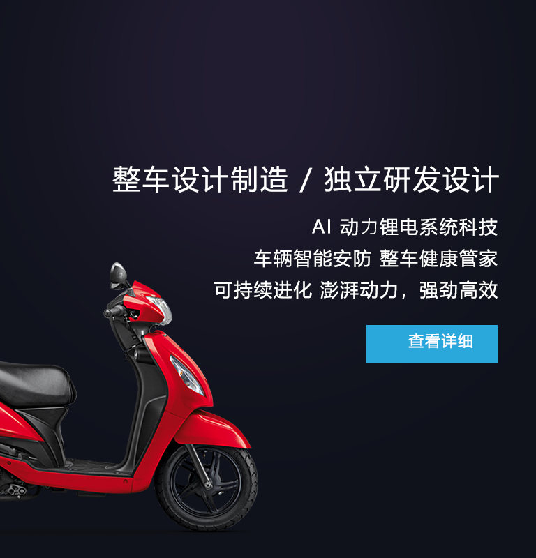 整车设计制造 / 独立研发设计