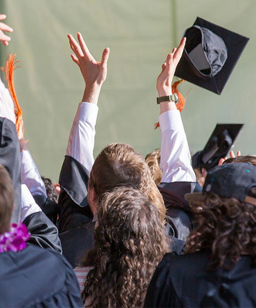 探索更广阔的世界
Explore a wider world