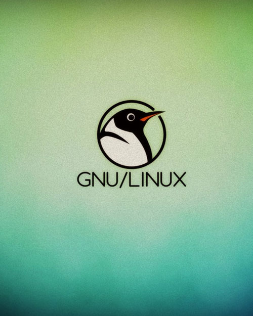 初级程序编程入门